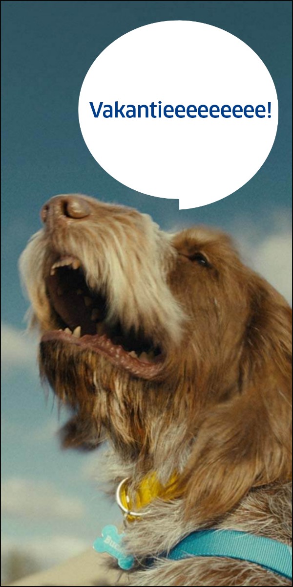 Hond met zijn kop uit het autoraam, in de wolk: Vakantieeeeeeeee!