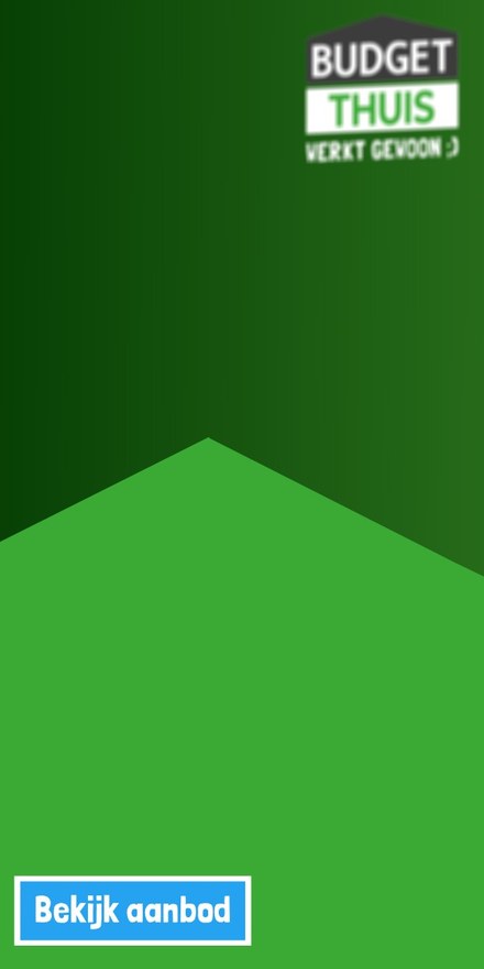 300×600 na 0,2 seconde: donkergroen met het lichtgroene dak