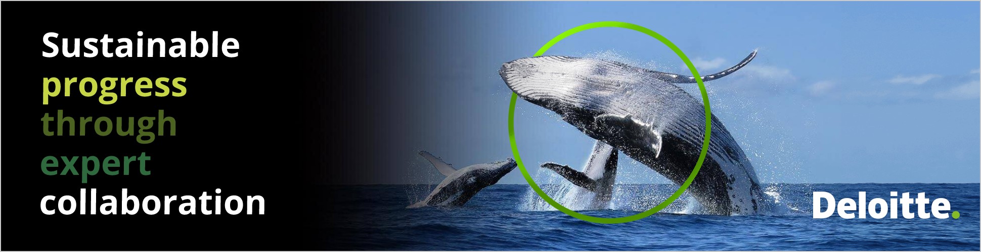 Billboard Sustainability: Sustainable progress through expert collaboration, met een springende walvis in een groene cirkel