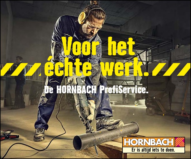 Frame 3: De HORNBACH ProfiService. onder de titel
