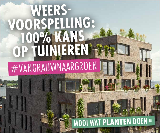 Variant 2: Weersvoorspelling: 100% kans op tuinieren