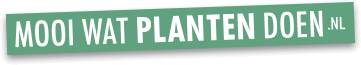 Mooi wat planten doen.nl