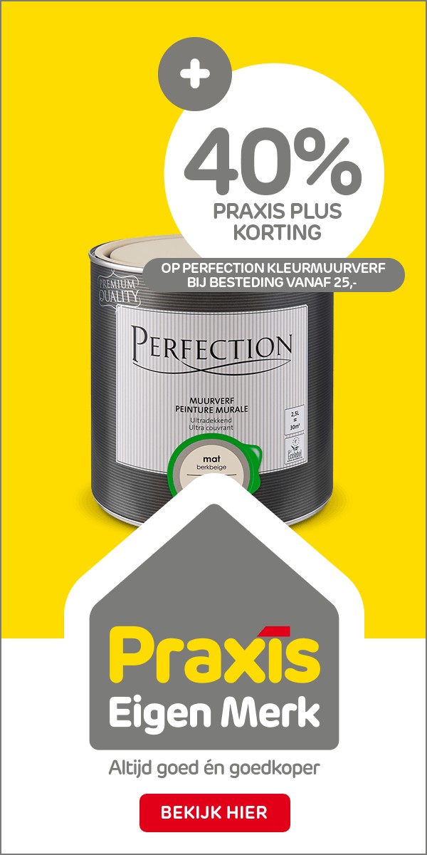 300×600 op 4,5 seconden: Perfection muurverf met 40% Praxis Plus korting