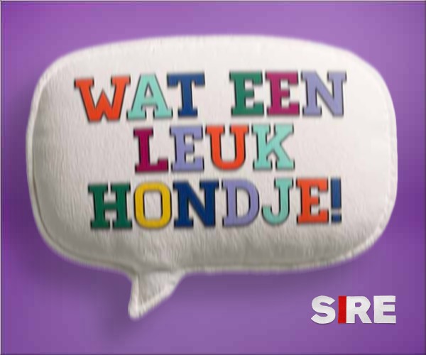 Frame 1: de ballon Wat een leuk hondje! op paars