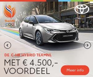 Statische variant met TeamNL-logo