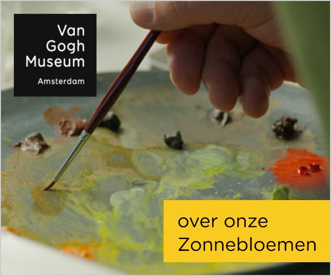 over onze Zonnebloemen