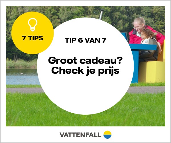 Tip 6 van 7: Groot cadeau? Check je prijs