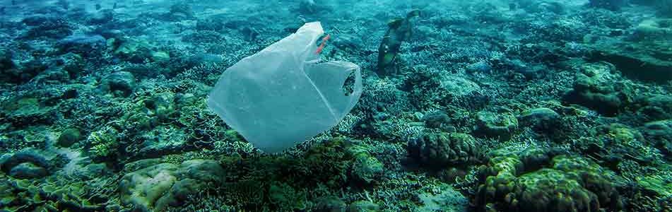 Plastic zak boven een koraalrif