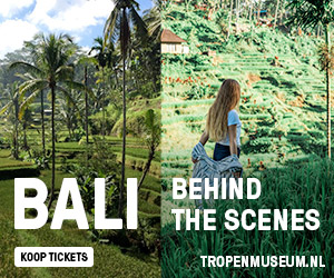 Bali Behind the Scenes: rijstvelden
