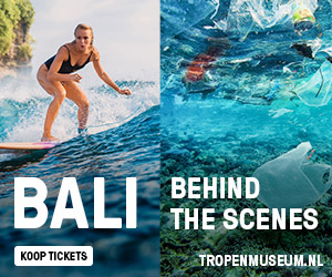 Bali Behind the Scenes: surfster