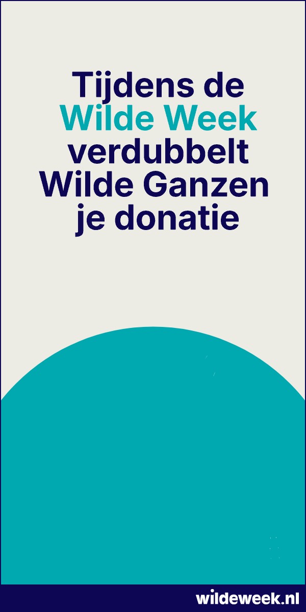 Tijdens de Wilde Week verdubbelt Wilde Ganzen je donatie